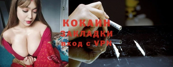 прущие грибы Алексеевка