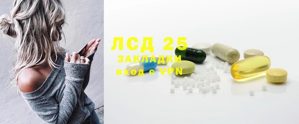 прущие грибы Алексеевка