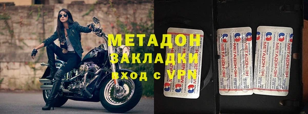 прущие грибы Алексеевка
